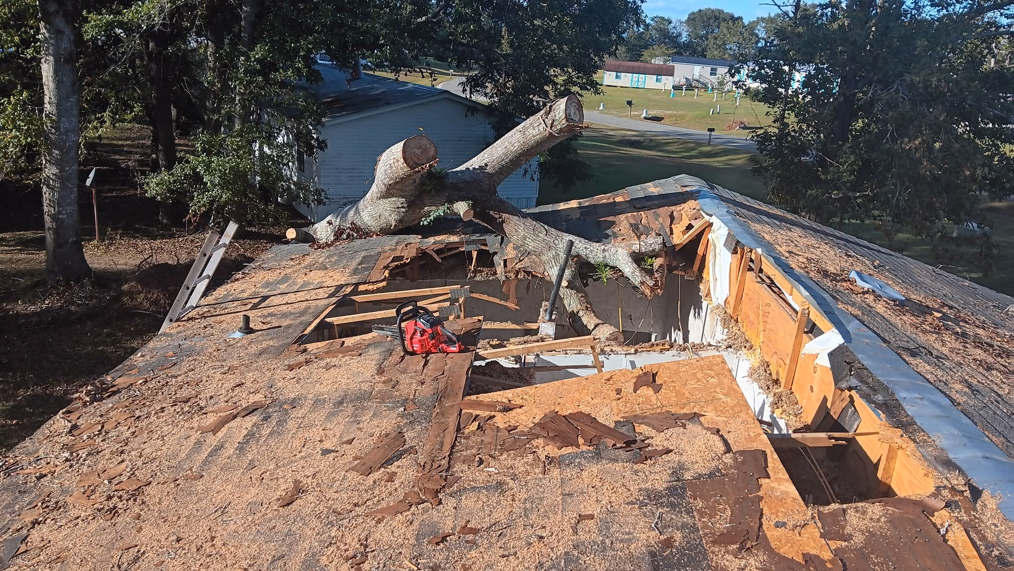 Large tree fallen on damaged roof with chainsaw and ladder nearby during daylight.